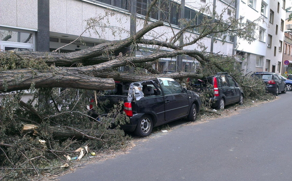 Baumsturz auf Auto, Kaskoschaden (Existenzielles Risiko) 